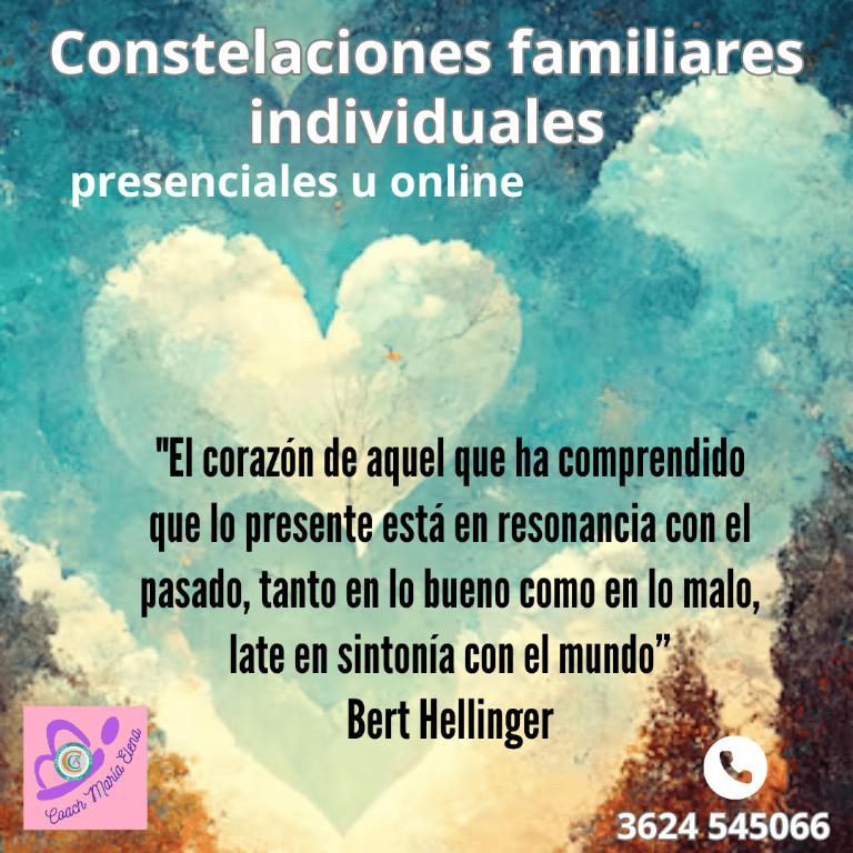 CONSTELACIONES FAMILIARES ONLINE en Resistencia - Imagen 2