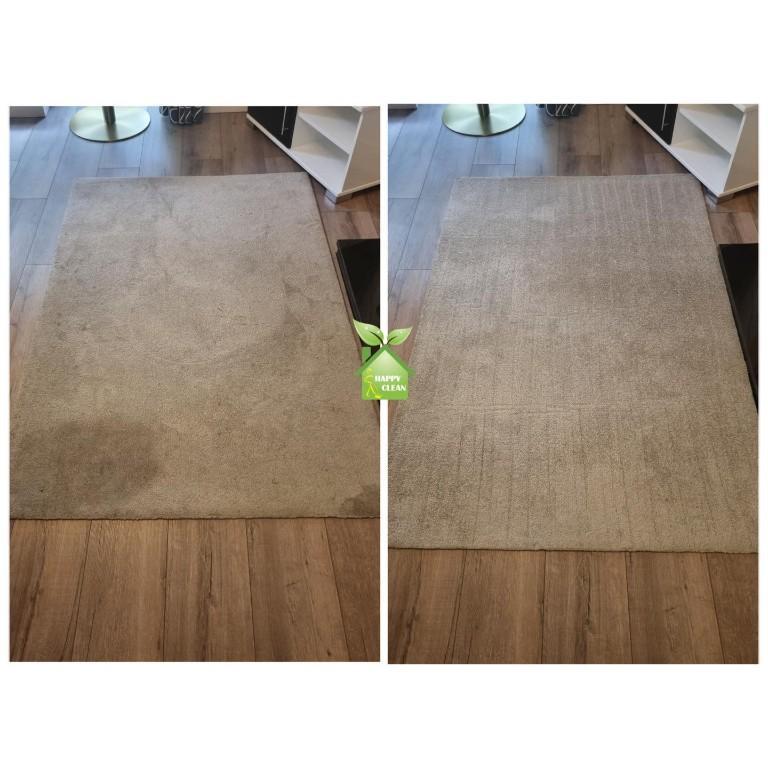 Professional Carpet & Rug Cleaning in Leixlip - Image 1