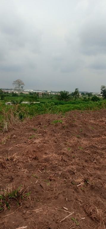 TERRAIN 1018M2 EN VENTE À COCODY RIVIERA BONOUMIN en Côte d’Ivoire - Photo 2