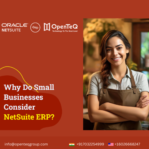 OpenTeQ NetSuite Implementation and Consulting Services in Kothaguda - Image 6