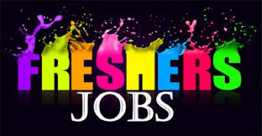 Software Developer Fresher Openings Hyderabad in Kothaguda - Image 3