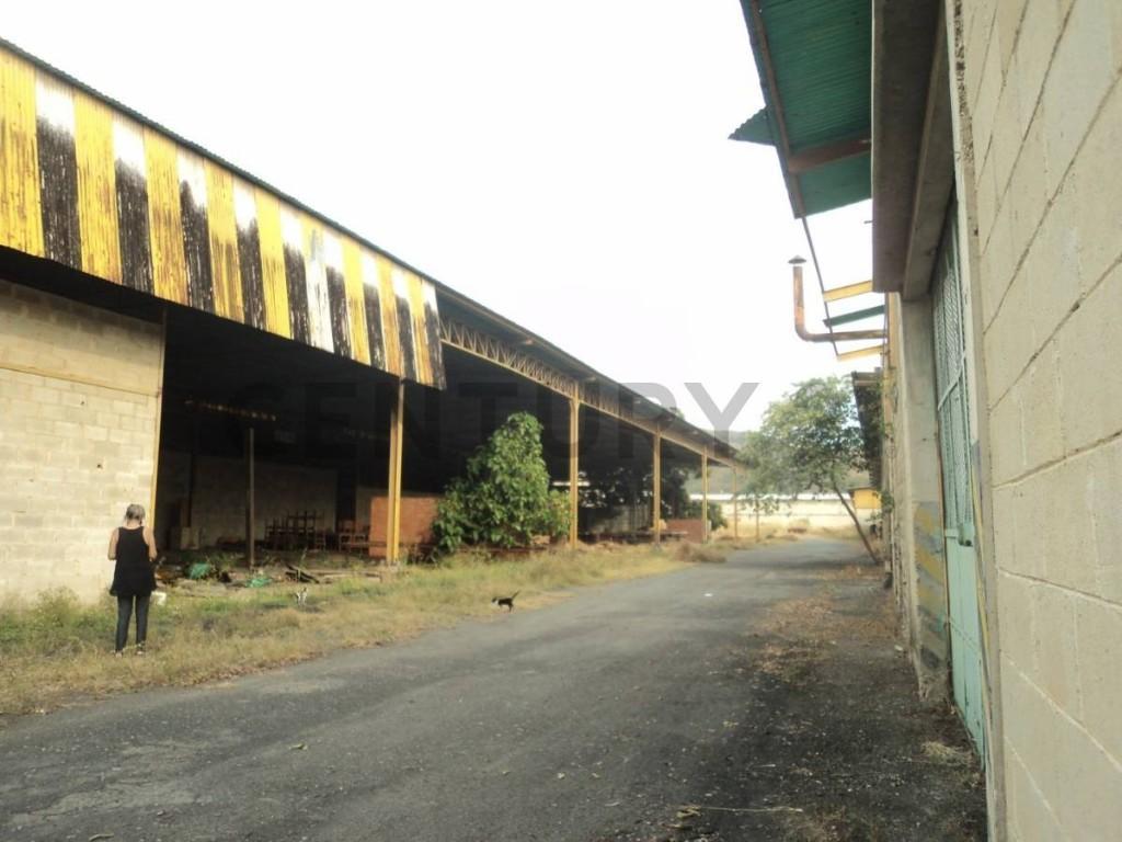 VENDO GALPON INDUSTRIAL CON FONDO DE COMERCIO TURMERO en Palo Negro - Imagen 6
