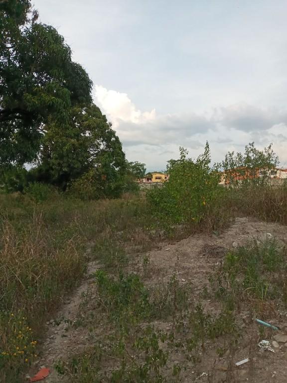 TERRENO LOS RASTROJOS VÍA PRINCIPAL AV BOLÍVAR ENTRE CALLES 3 Y en Cabudare - Imagen 2