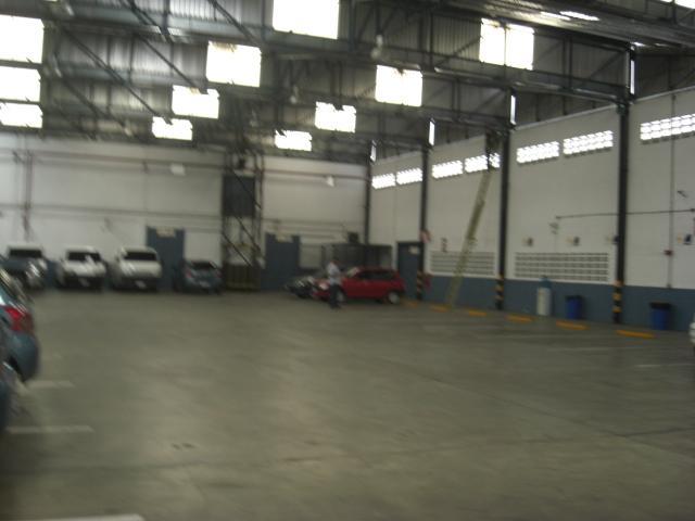 TECHOS Y CUBIERTAS en Palo Negro - Imagen 12