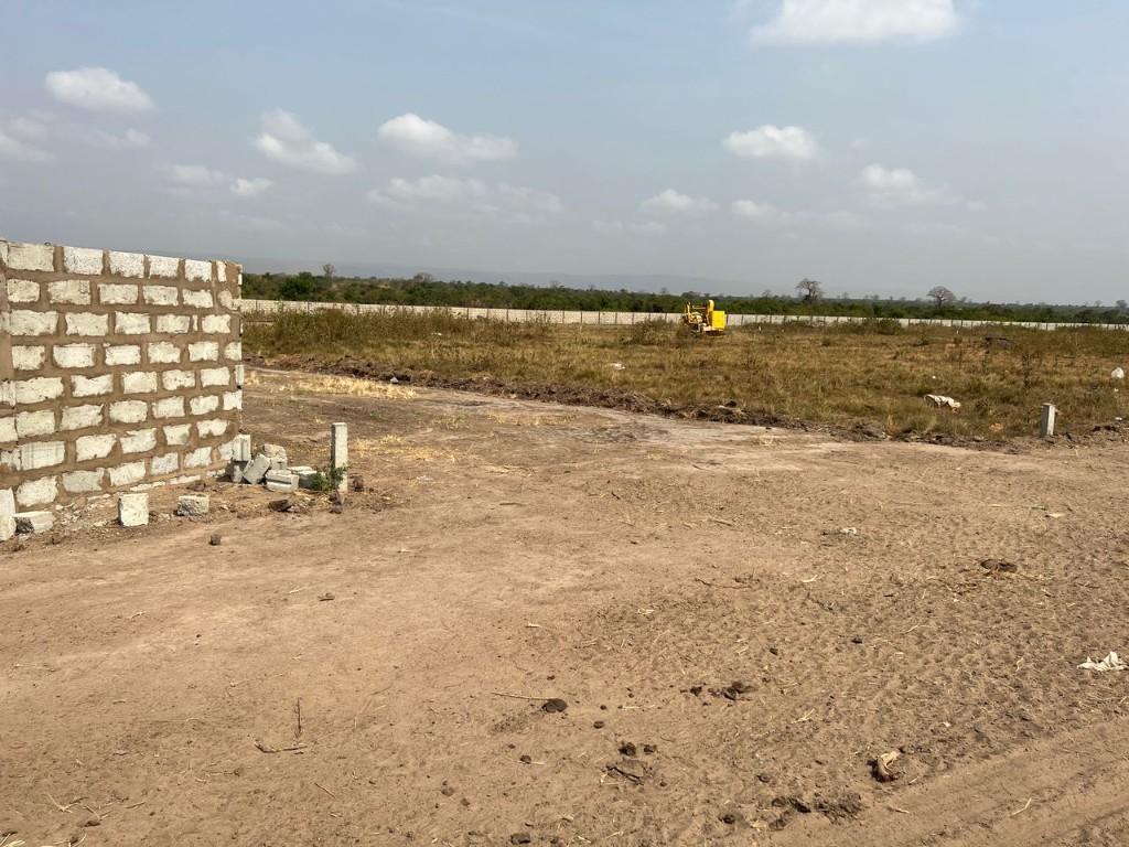 PRAMPRAM-WELL-SECURED HALF PLOTS in Tema New Town - Image 3