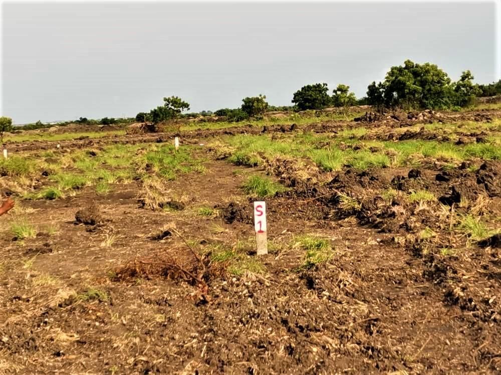 DAWHENYA-HURAY! LESS EXPENSIVE BUT QUALITY PLOT in Ejura - Image 2