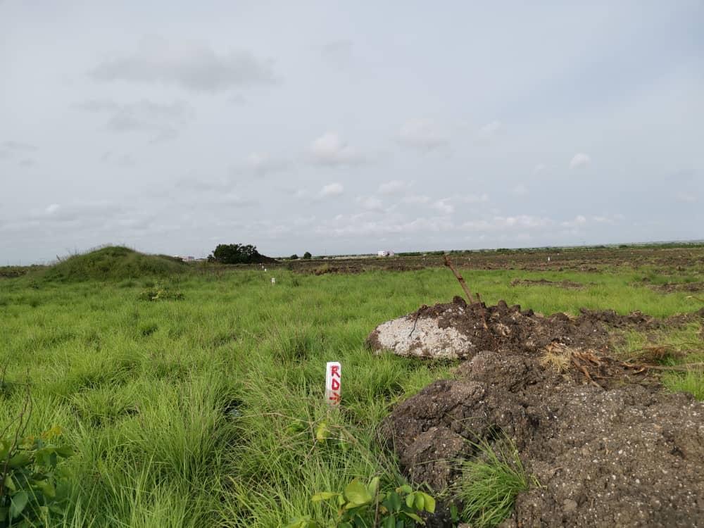 DAWHENYA-HURAY! LESS EXPENSIVE BUT QUALITY PLOT in Ejura - Image 3