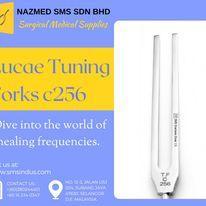 Unlocking the Power of Precision The Rydel-Seiffer Tuning Fork in Shah Alam - Image 8
