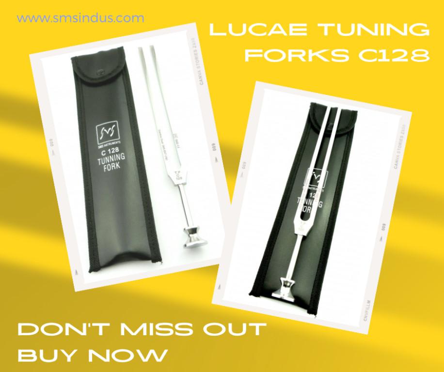 Unlocking the Power of Precision The Rydel-Seiffer Tuning Fork in Shah Alam - Image 14