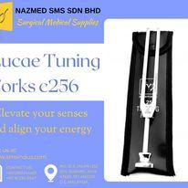 Unlocking the Power of Precision The Rydel-Seiffer Tuning Fork in Shah Alam - Image 18