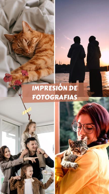 FOTO CARNET, FOTO VISA Y FOTO PASAPORTE, FOTO CON DATOS en Los Cerrillos - Imagen 2