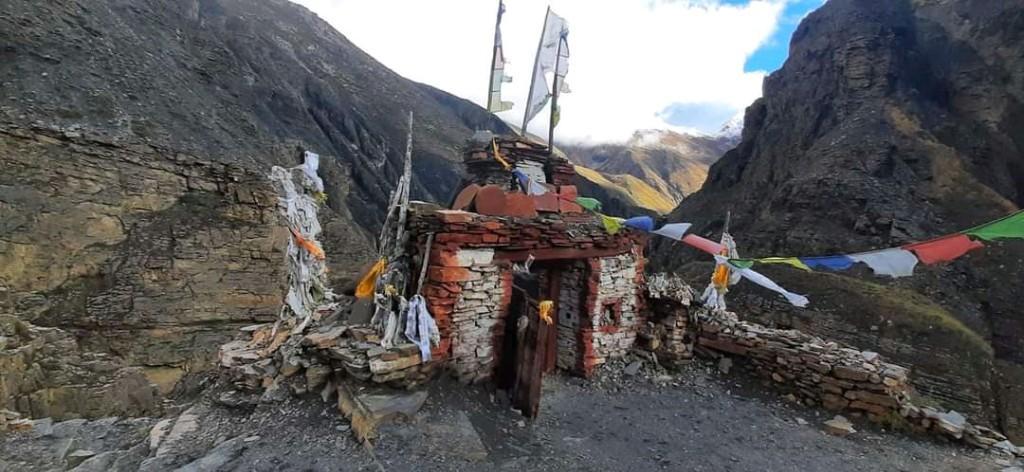New York Times and CNN report Visiting Mustang in United States - Image 1