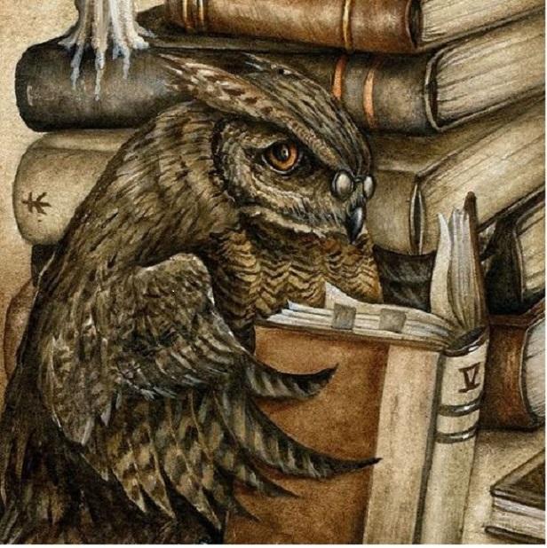 FUNDACION LIBROS INTERESANTES en Caraballeda - Imagen 1