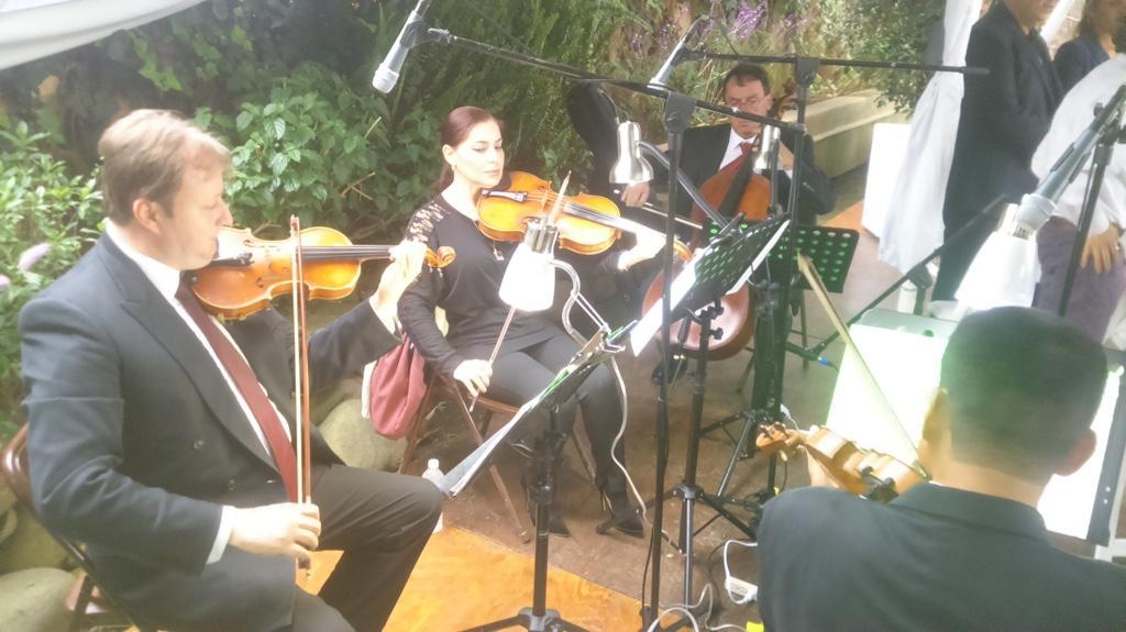 VIOLINISTAS PROFESIONALES en Tacuba - Imagen 1