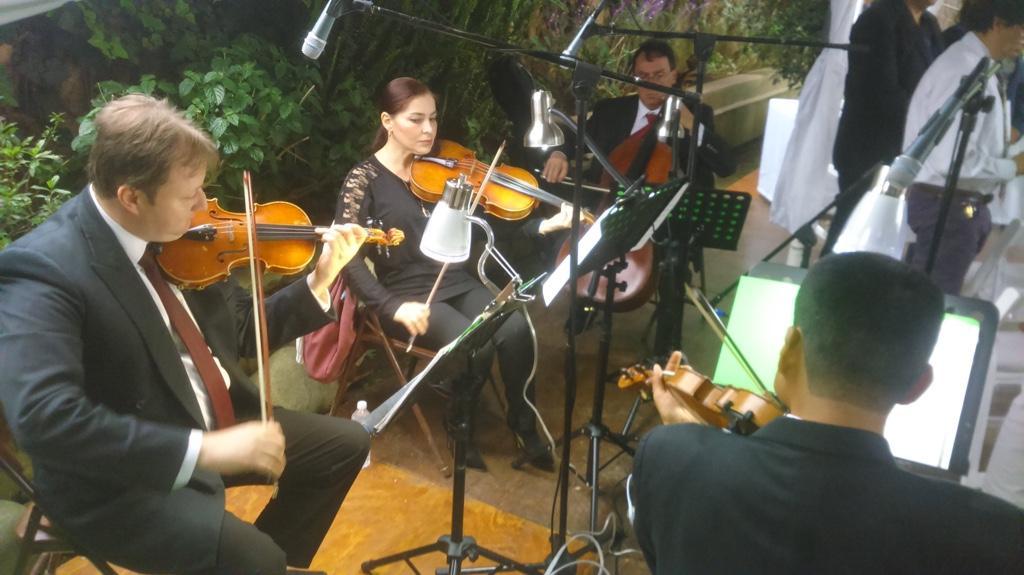 VIOLINISTAS PROFESIONALES en Tacuba - Imagen 3