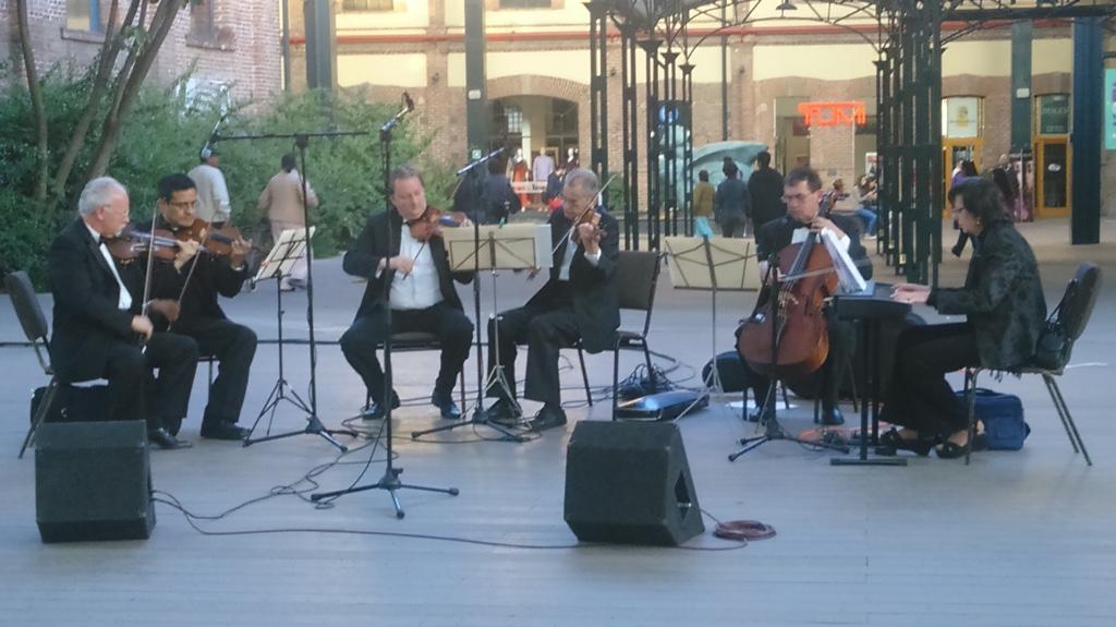 VIOLINISTAS PROFESIONALES en Tacuba - Imagen 5