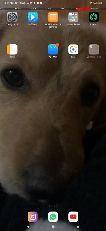 CUIDADOR DE PERROS en Conchalí - Imagen 1