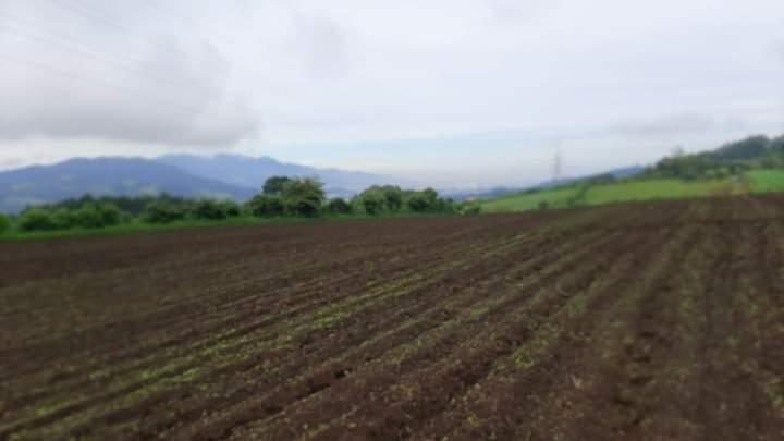 BELLAS QUINTAS EN TARAS DE CARTAGO. en Oreamuno - Imagen 6