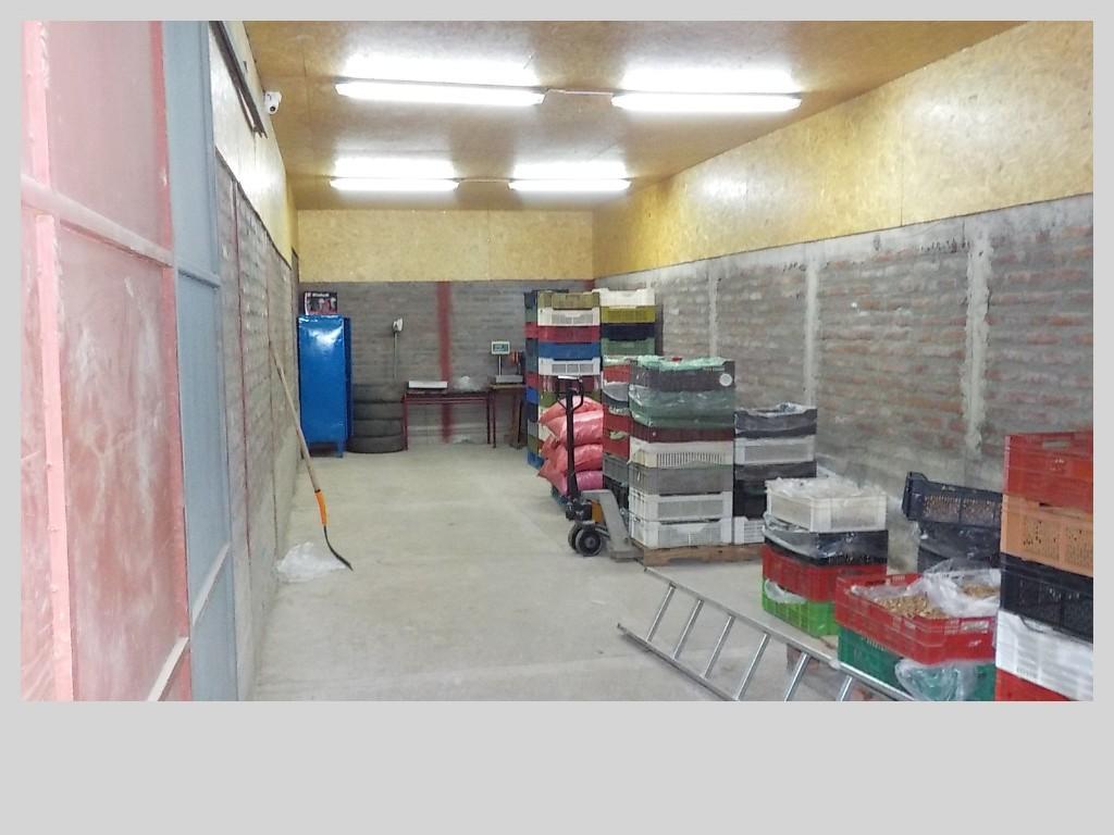 PUTAENDO VENDO 6 GALPONES 2 CASAS IDEAL PARA PRODUCTOS SECOS en Putaendo - Imagen 8