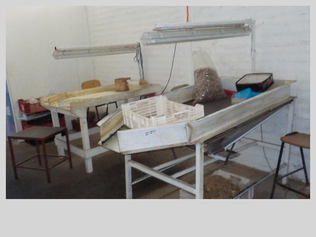 PUTAENDO VENDO 6 GALPONES 2 CASAS IDEAL PARA PRODUCTOS SECOS en Putaendo - Imagen 9
