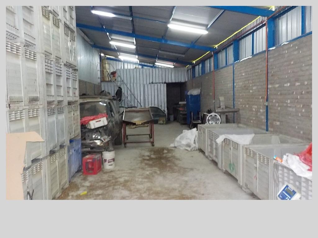 PUTAENDO VENDO 6 GALPONES 2 CASAS IDEAL PARA PRODUCTOS SECOS en Putaendo - Imagen 11