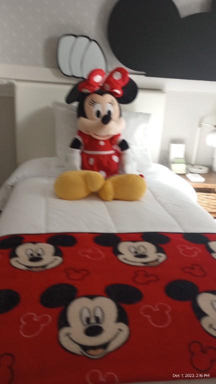 Ele cleaning services en Orlando - Imagen 6