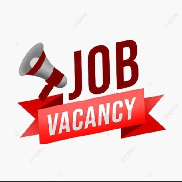 Tele caller, Accountant and Computer technician required in Vazhuthacaud - Image 3
