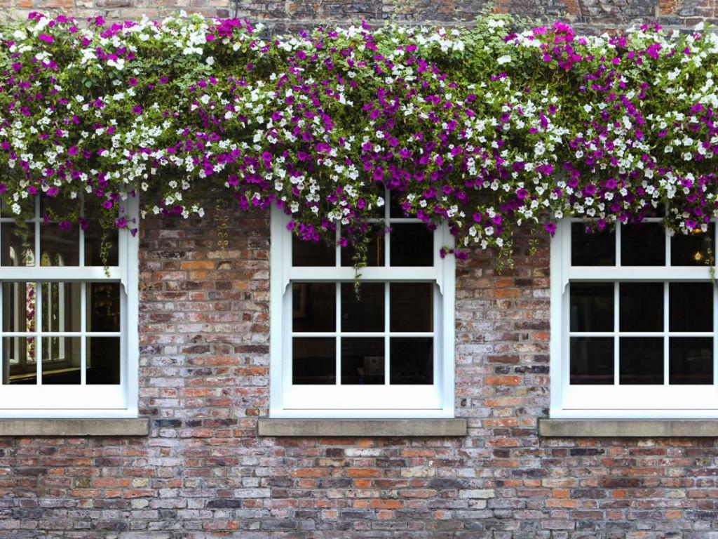 Upgrade Your Home with Quickslide's uPVC Sliding Sash Windows in Halifax - Image 3