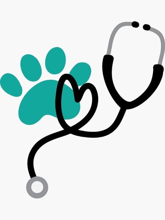 Servicios Veterinarios en Cabudare - Imagen 2