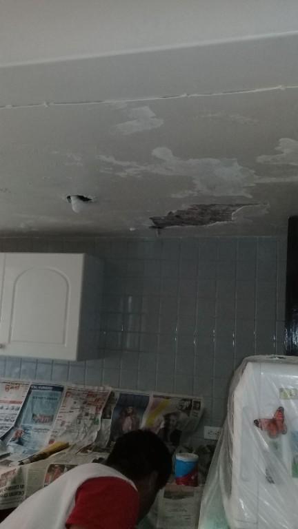 PINTURA, IMPERMEABILIZACION Y REMODELACIONES en Tlapacoyan - Imagen 6