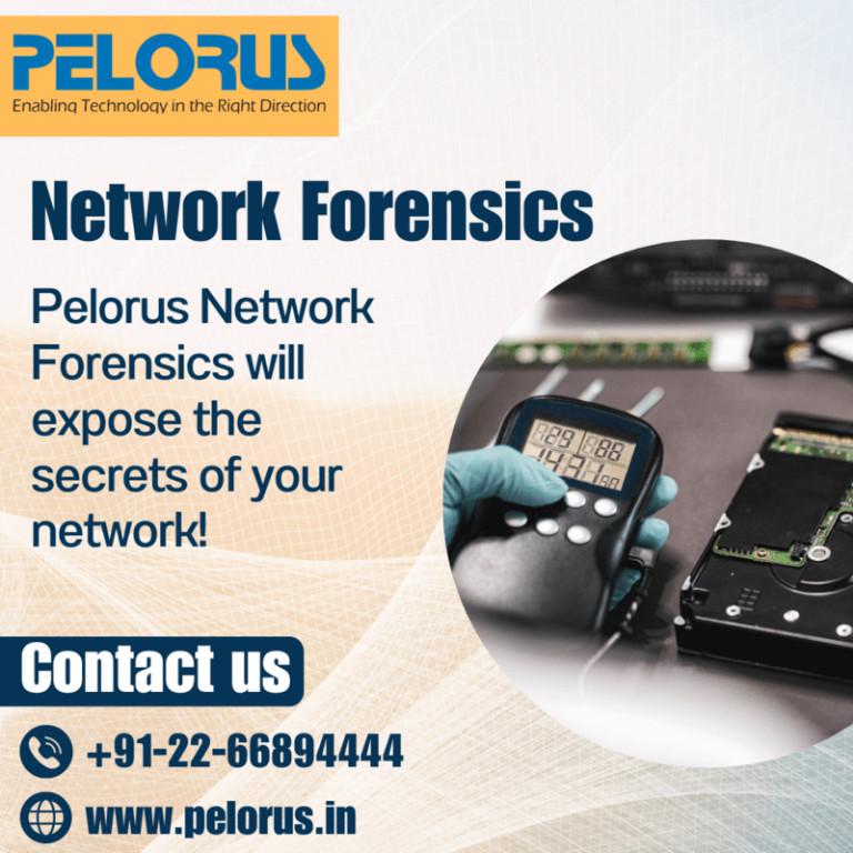 Pelorus | Network Forensics in Bangalore - Image 1