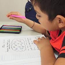 DOCENTES Y PROFESORAS DE APOYO PRIMARIO- TODAS LAS MATERIAS-CF- en Ciudad Celina - Imagen 2