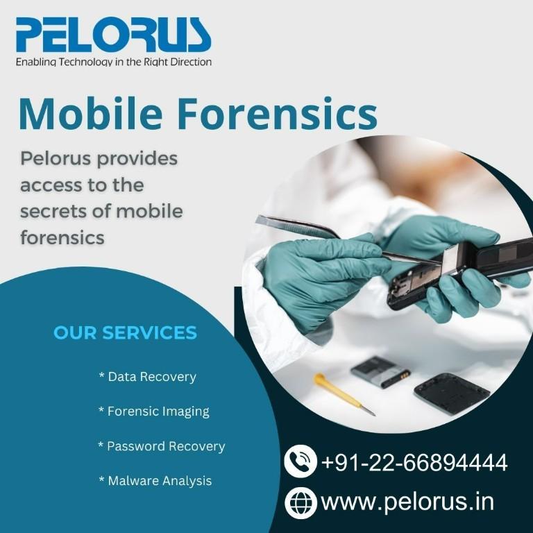 Pelorus|Mobile Forensics in Andheri East - Image 1