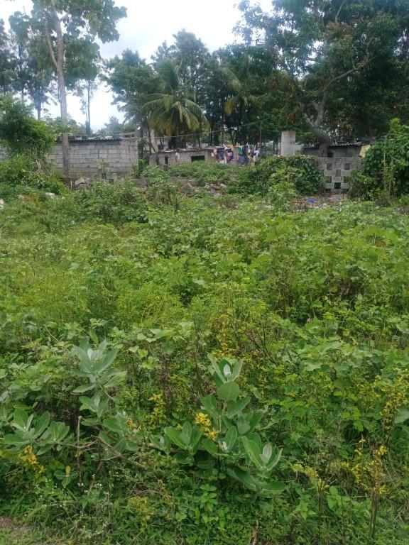 SHARING OR RENT 1 BHK HOUSE FOR 3000 in RT Nagar - Image 2