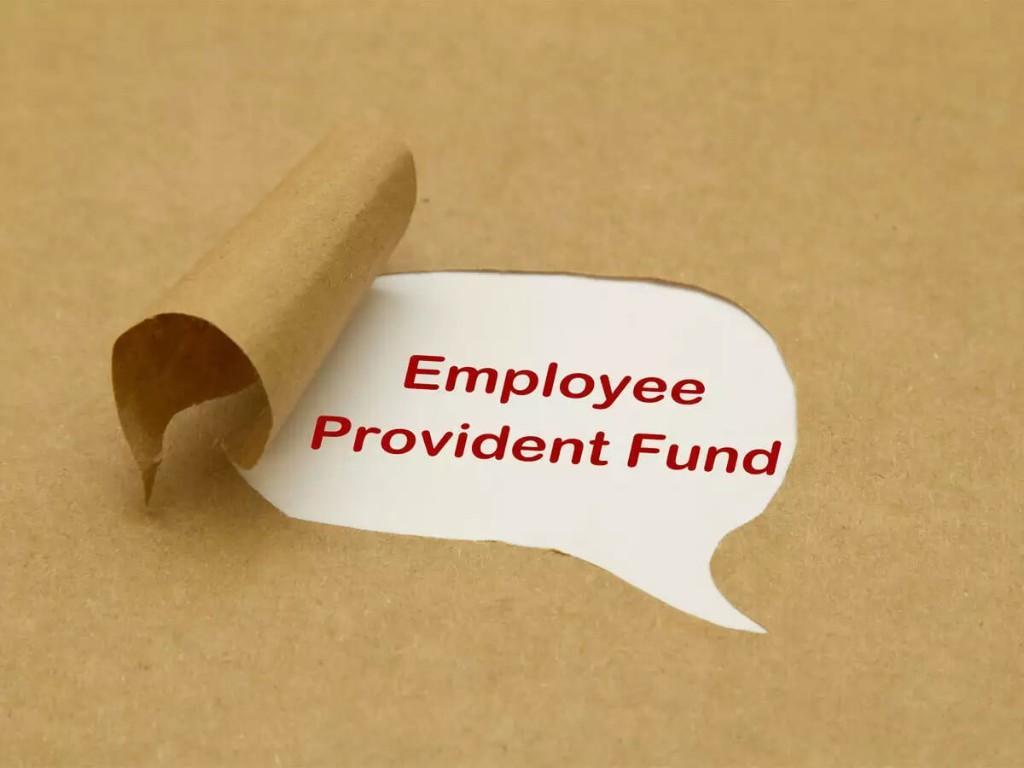 EPF and ESIC Consultant | Payroll Processing | Website Design in Paharganj - Image 5