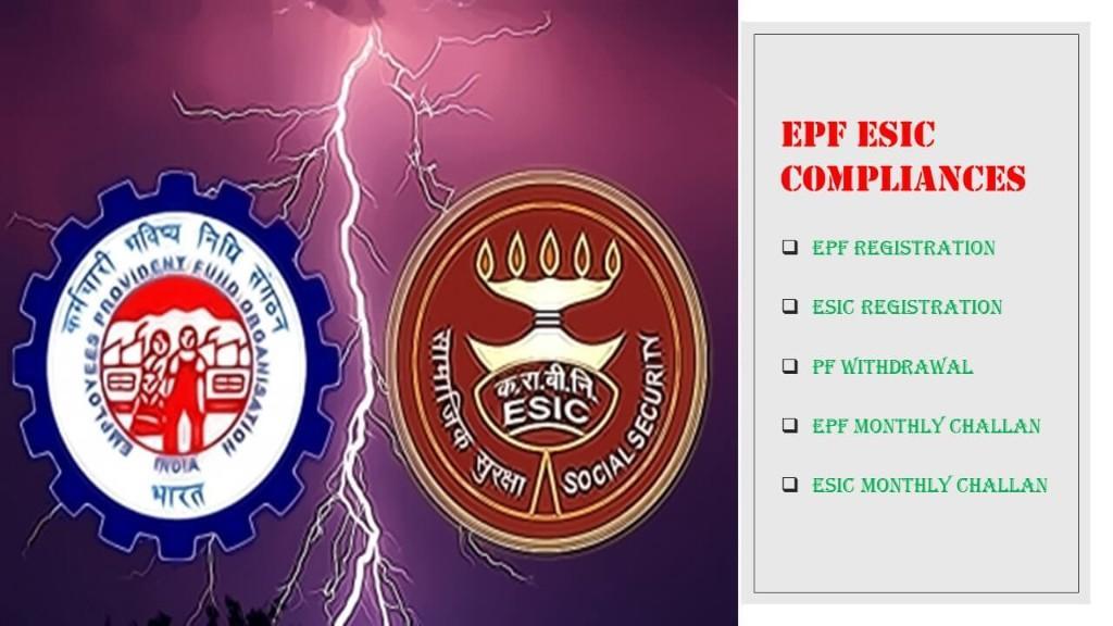 EPF and ESIC Consultant | Payroll Processing | Website Design in Paharganj - Image 6