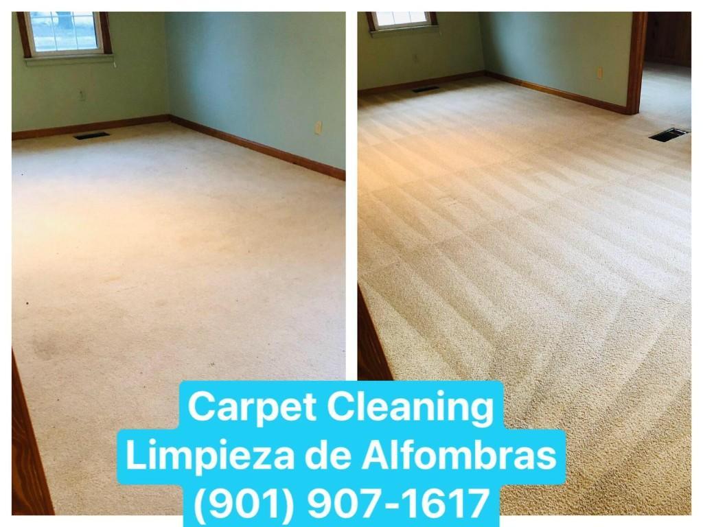 GS Carpet Cleaning Service in Memphis - Image 5