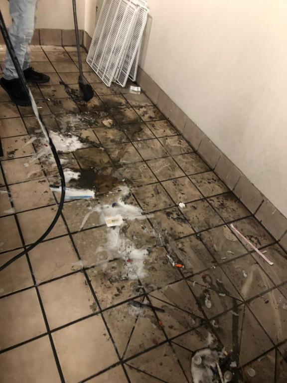 GS Carpet Cleaning Service in Memphis - Image 9