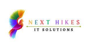 NextHikes IT Solution- Web Development and App Development Comp in Karnal - Image 1