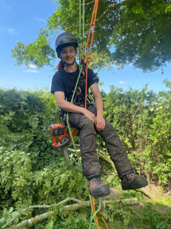 Tree Surgeons Liverpool - Poplar Tree Solutions in Liverpool - Image 1