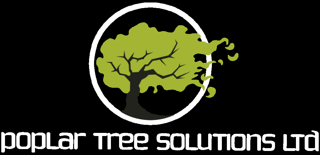 Tree Surgeons Liverpool - Poplar Tree Solutions in Liverpool - Image 2