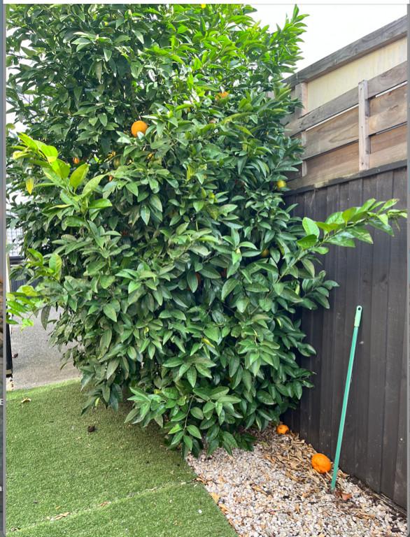 Labourer needed in Doreen in Epping - Image 2