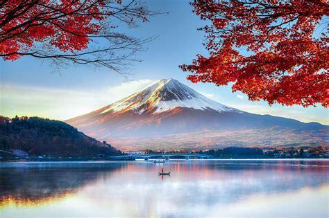 Free Japanese Lessons with Native Teacher Online! in Shibuya - Image 1