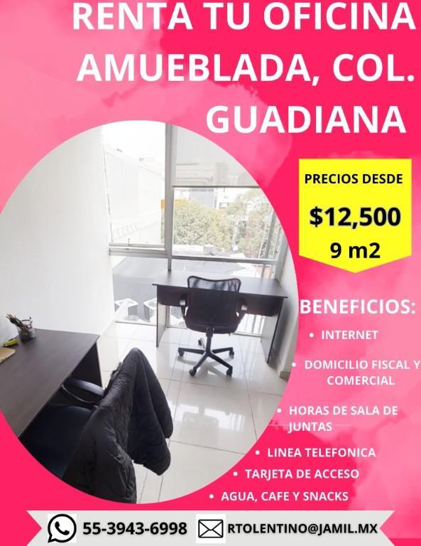 OFICINA AMUEBLADA EN LA COLONIA RENACIMIENTO en San Luis de la Paz - Imagen 1