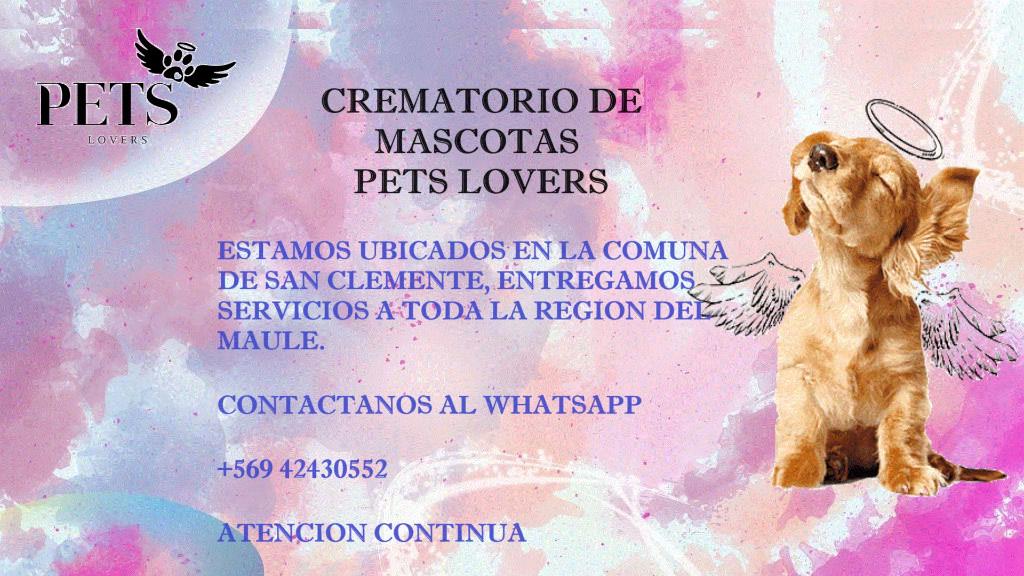 CREMATORIO DE MASCOTAS 7 ° REGION en Maule - Imagen 1