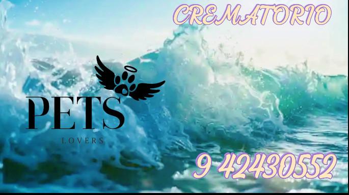 CREMATORIO DE MASCOTAS 7 ° REGION en Maule - Imagen 2