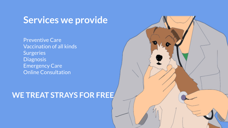 Best Private Veterinary Hospital With Latest Lab Technology in Bathinda - Image 2