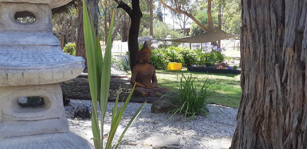 Garden Maintenance Service in Ballarat - Image 2