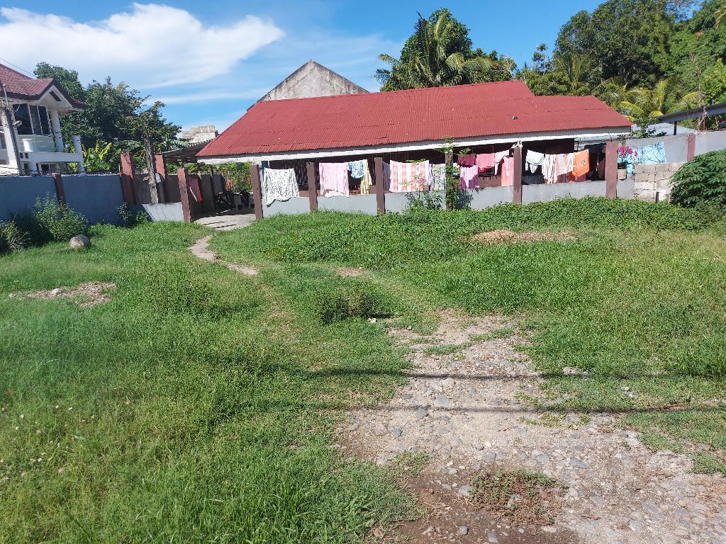 SEMI COMMERCIAL PROPERTY FOR SALE ID 14901 in Dumaguete - Image 1