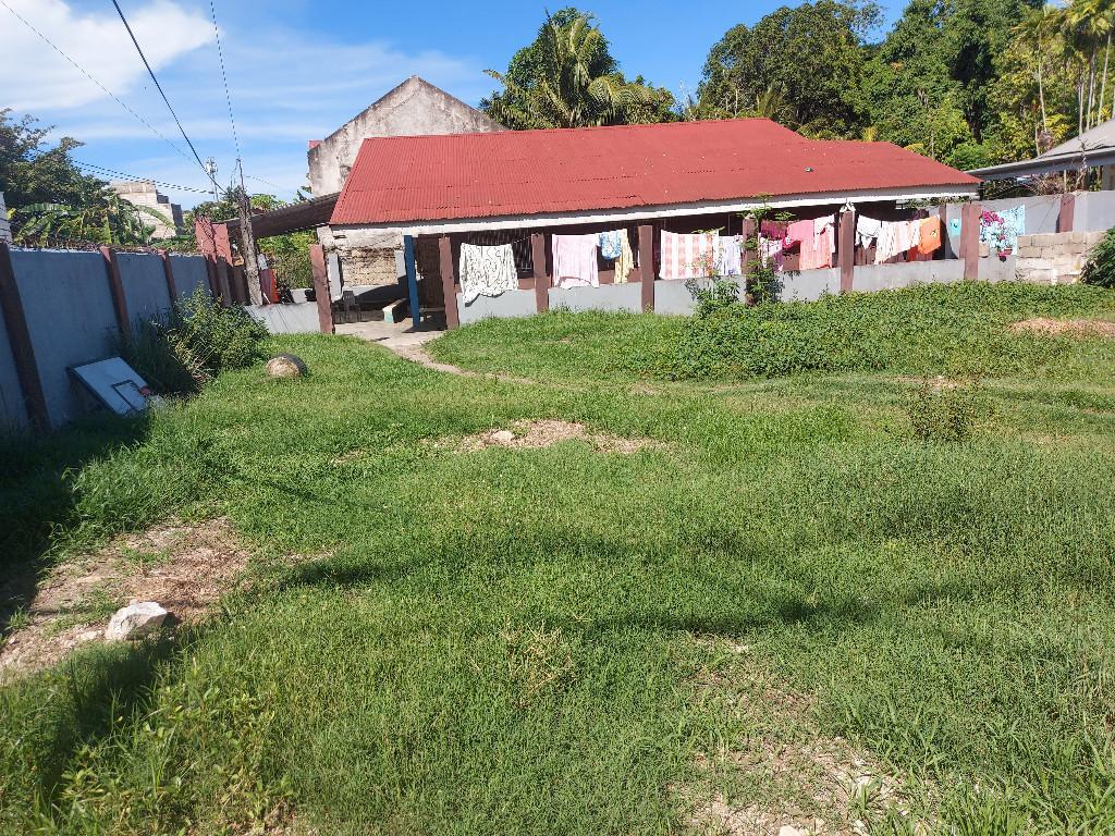 SEMI COMMERCIAL PROPERTY FOR SALE ID 14901 in Dumaguete - Image 12